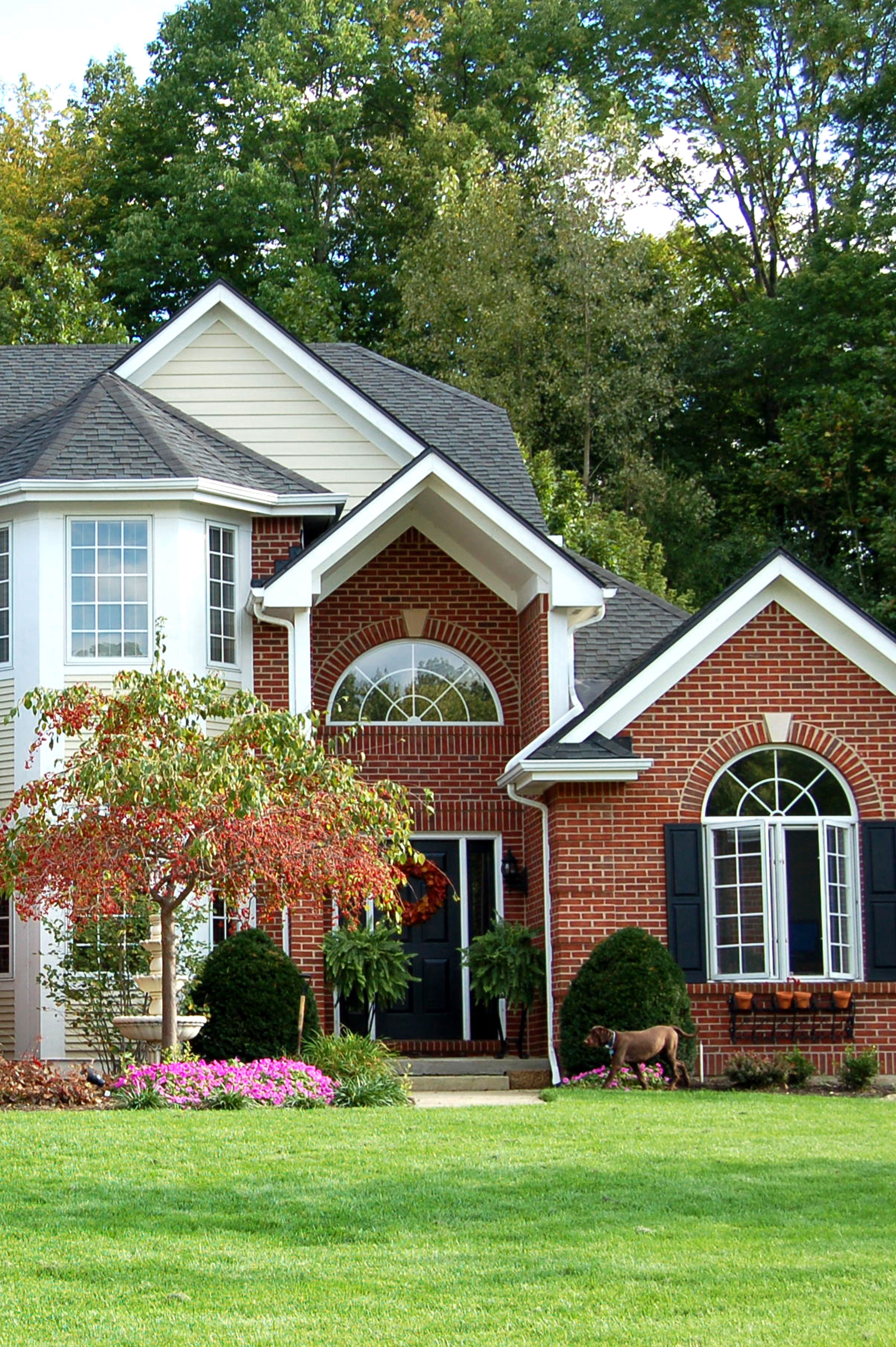 Mentor Property Management